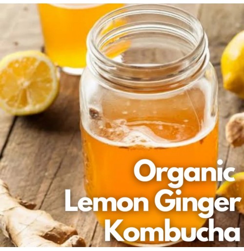 *Kombucha - LEMON GINGER - 350ml (by Satva Farm)